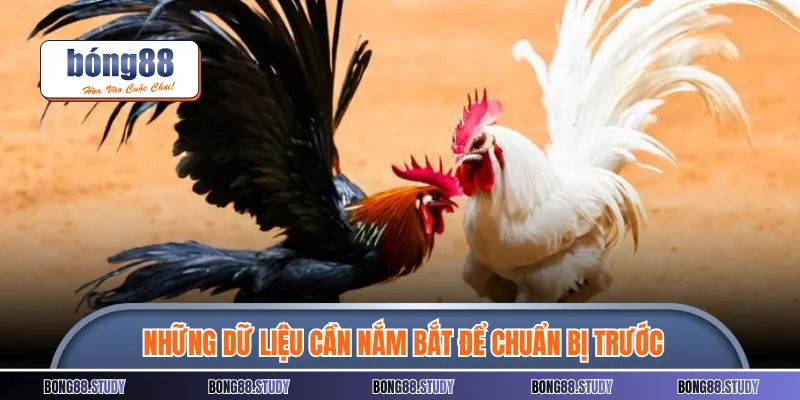 Những dữ liệu cần nắm bắt để chuẩn bị trước