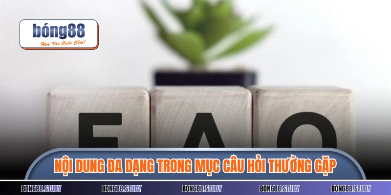 Nội dung đa dạng được đề cập trong mục câu hỏi thường gặp Bong88
