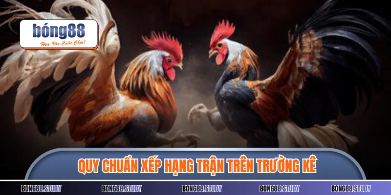 Quy chuẩn xếp hạng trận trên trường kê